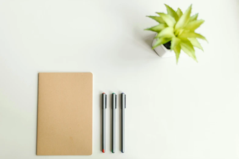 a desk with a notebook, pen and a potted plant, by Robbie Trevino, pexels, minimalism, felt tip pen, overview, 9 9 designs, set against a white background