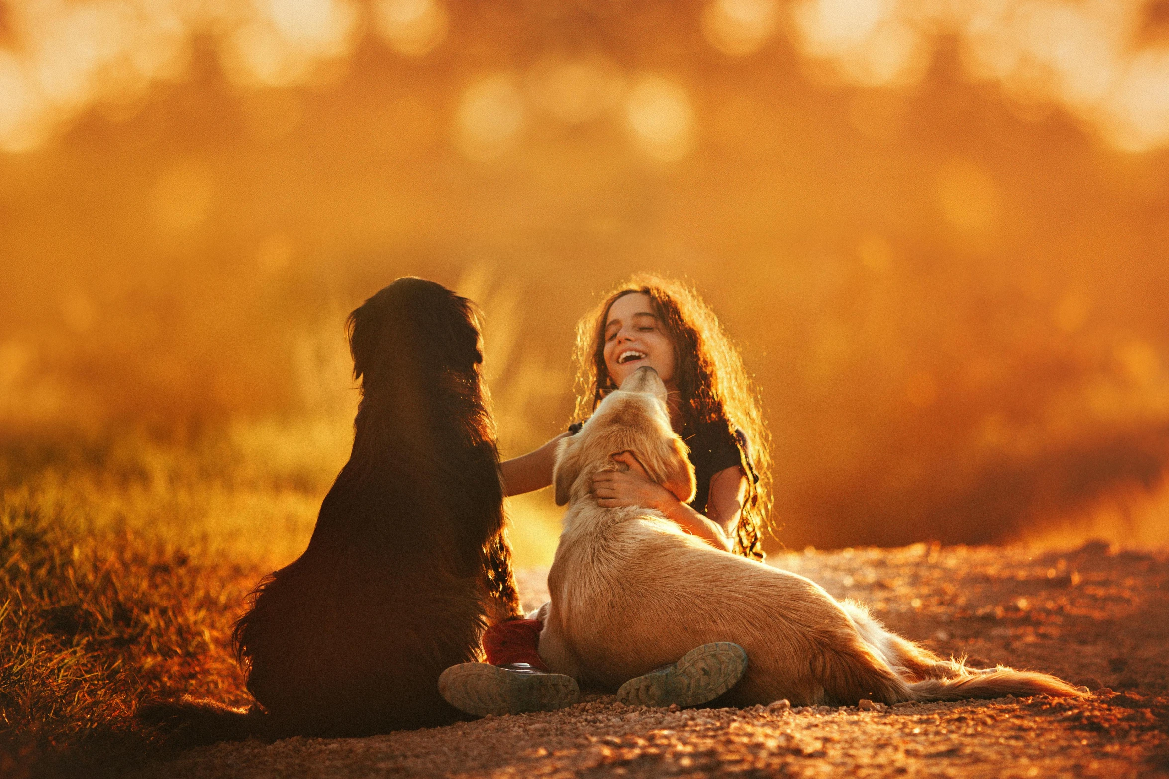 a woman sitting next to a dog on a dirt road, by Julia Pishtar, pexels contest winner, bathed in golden light, three animals, happy girl, australian