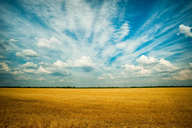 a field of wheat under a blue sky, by Andries Stock, unsplash, “puffy cloudscape, ukraine. professional photo, cloud day, atmospheric clouds'