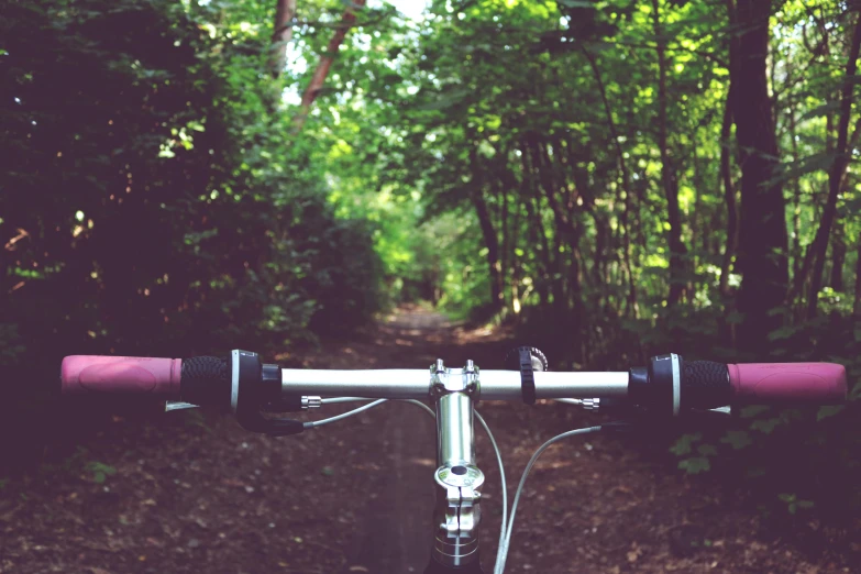 a close up of the handlebars of a bicycle, an album cover, unsplash, lush green forest, college, quiet beauty, multiple stories