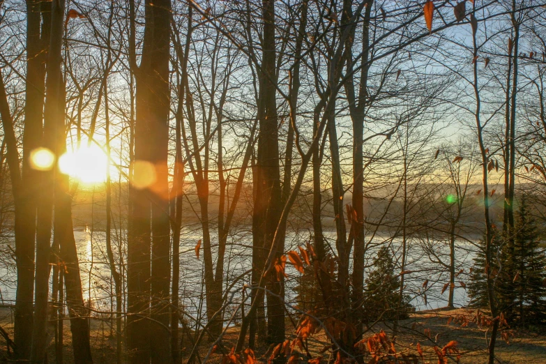 the sun is shining through the trees by the water, inspired by Tom Thomson, pexels contest winner, winter setting, sunset with falling leaves, today\'s featured photograph 4k, instagram post