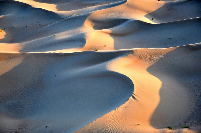 a group of sand dunes in the desert, by David Simpson, pexels contest winner, art nouveau, dappled in evening light, flowing silk sheets, highly polished, crisp smooth lines