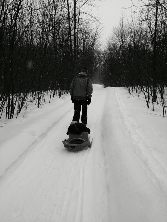 a man riding a snowboard down a snow covered road, an album cover, by Jaakko Mattila, caught on trail cam, desaturated!!, me, back yard