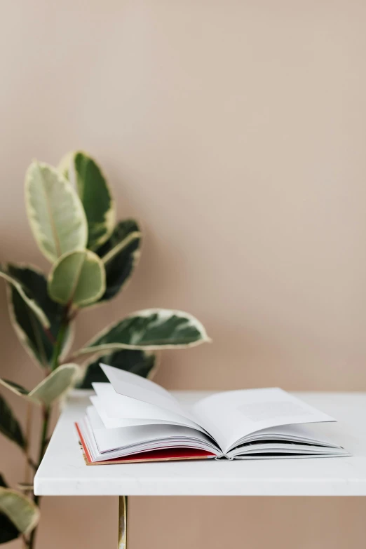 an open book sitting on top of a white table, trending on pexels, green and red plants, plain background, in muted colours, office background