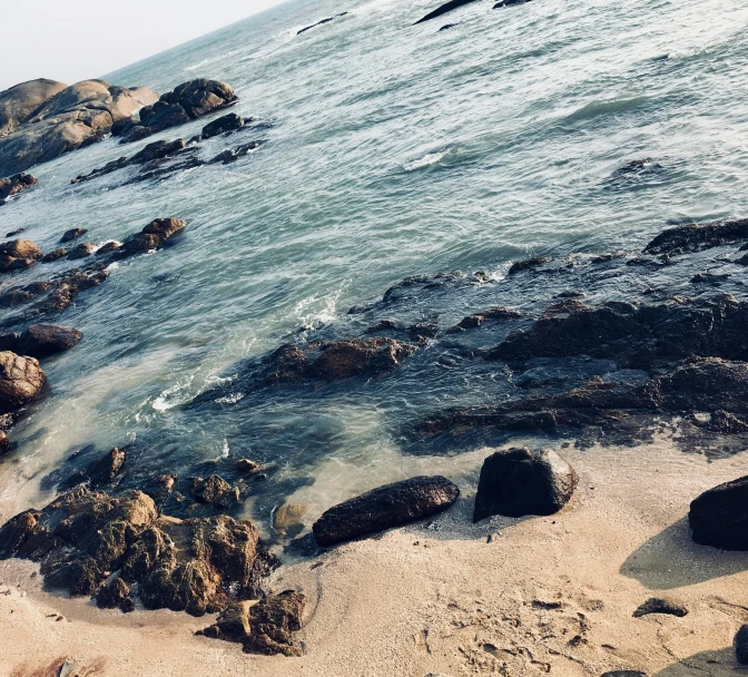 a man standing on top of a sandy beach next to the ocean, an album cover, unsplash, realism, ((rocks)), sri lankan landscape, seals, brown