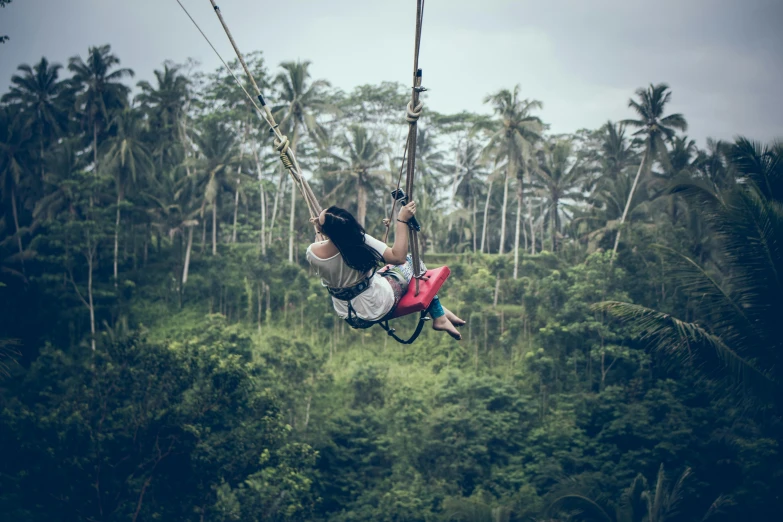 a man flying through the air while riding a zipline, by Jessie Algie, pexels contest winner, hurufiyya, the jungle at the background, avatar image, sitting in a crane, holiday