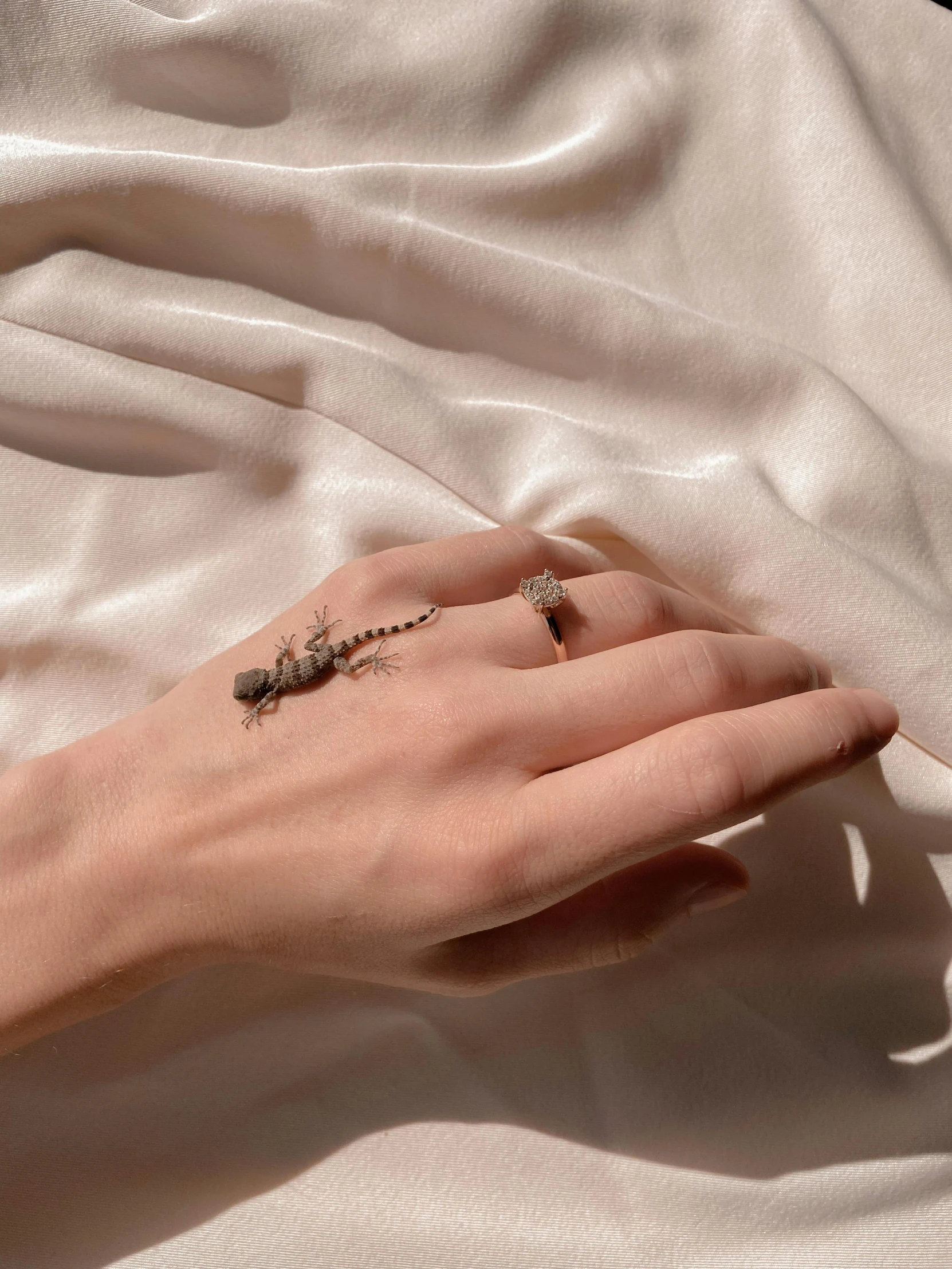 a close up of a person's hand with a tattoo on it, inspired by L. A. Ring, trending on pexels, wearing gilded ribes, high resolution product photo, dragonfly-like, miniature product photo