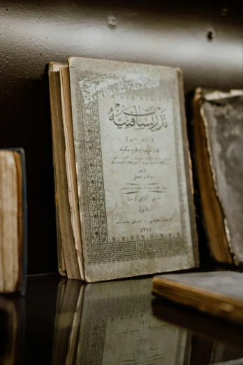 an old book sitting on top of a table, hurufiyya, displayed on the walls, bookshelf, aged 2 5, in detail