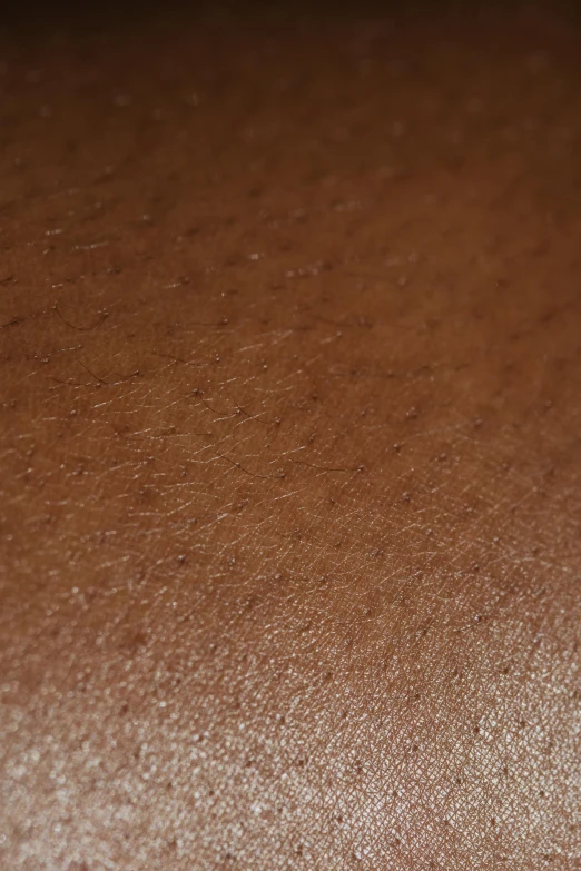 a close up of a piece of cake on a table, cinnamon #b57e59 skin color, very dark brown skin!, zoomed out to show entire image, hyperdetailed skin