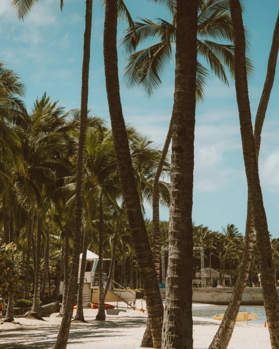 a group of palm trees sitting on top of a sandy beach, sailboats in the water, trending on vsco, hawaii, poolside