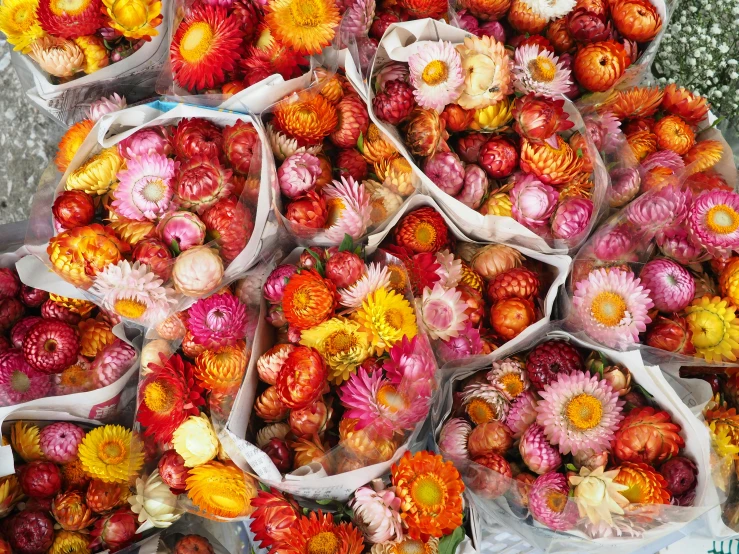 a bunch of flowers sitting on top of a table, pexels, process art, madagascar, market, pink and orange, ari aster