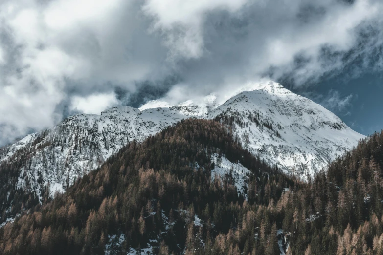 a mountain covered in snow under a cloudy sky, pexels contest winner, dark pine trees, the alps are in the background, brown, multiple stories