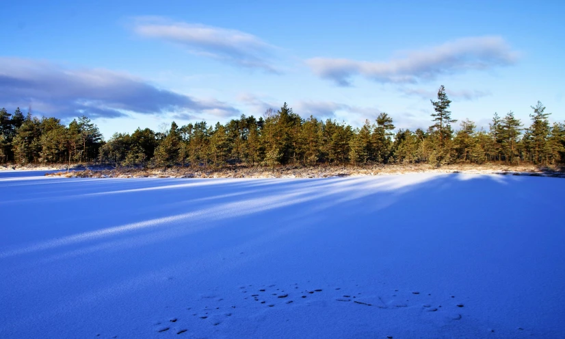 a snow covered field with trees in the background, inspired by Eero Järnefelt, unsplash, land art, footprints in the sand, lake blue, archipelago, thumbnail