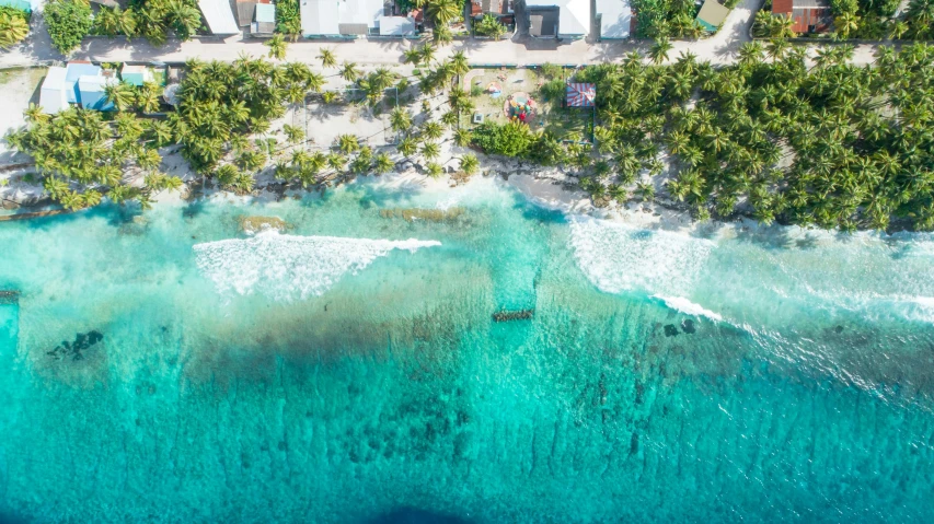 an aerial view of a beach with palm trees, coral reef, gaze down, slice of life, kami