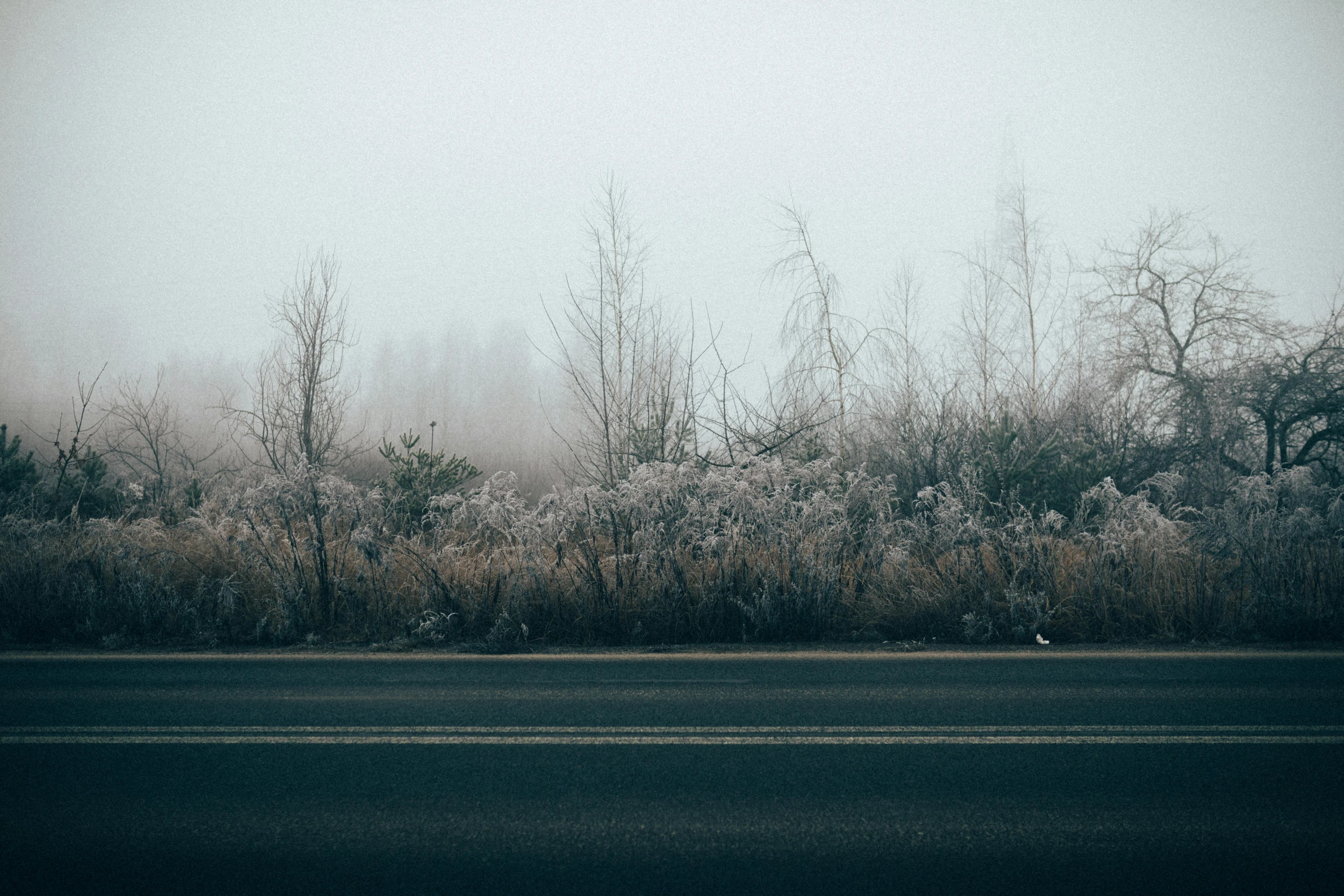 a street sign sitting on the side of a road, a picture, inspired by Elsa Bleda, thick heavy fog, winter forest, grey, album