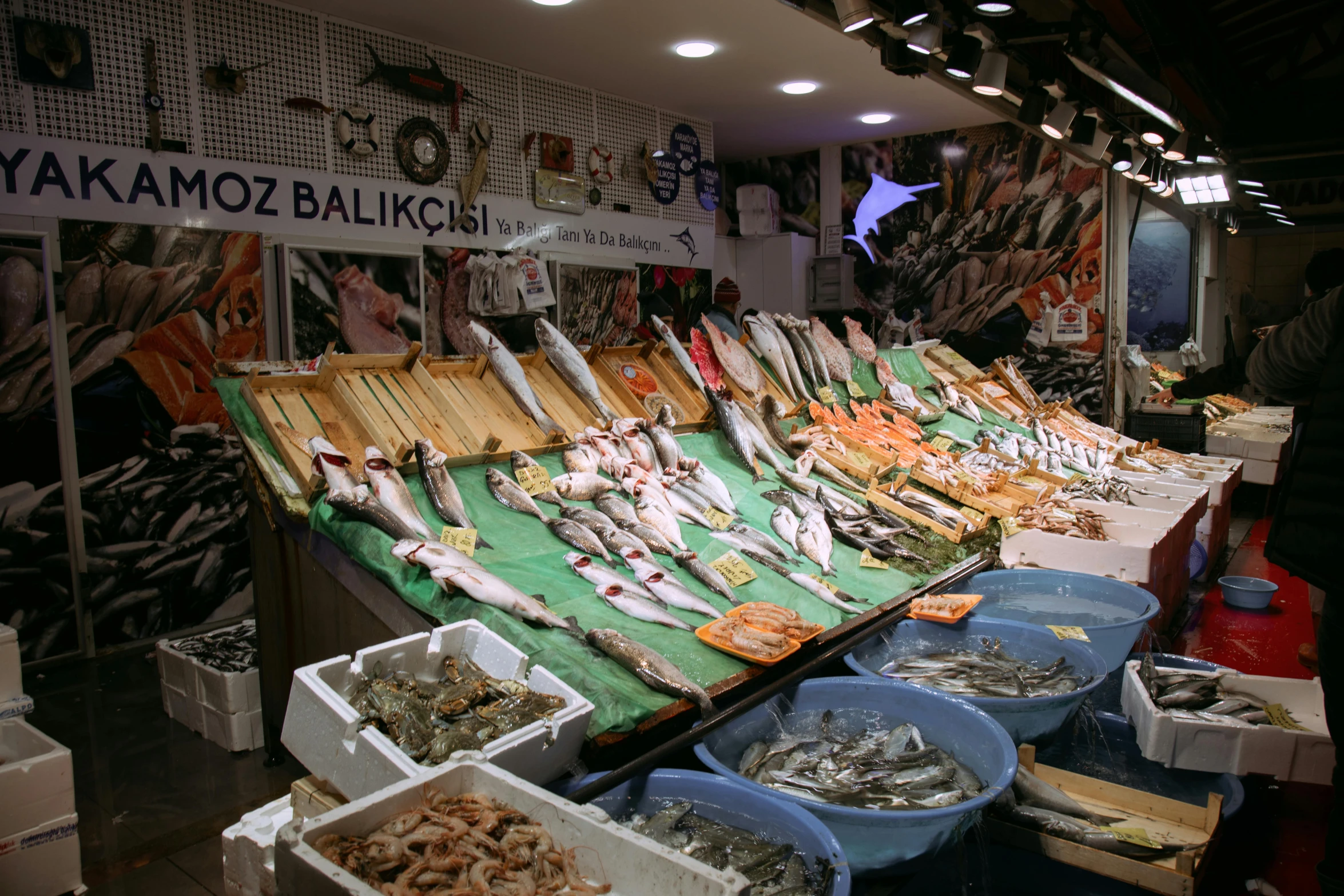 a fish market filled with lots of different types of fish, a picture, by Adam Szentpétery, hurufiyya, profile image, backdrop, istanbul, 💋 💄 👠 👗