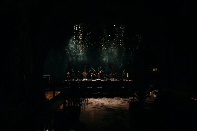 a group of people sitting at a table in the dark, unsplash contest winner, magical realism, archways made of lush greenery, cellar, grim yet sparkling atmosphere, dark hazy room