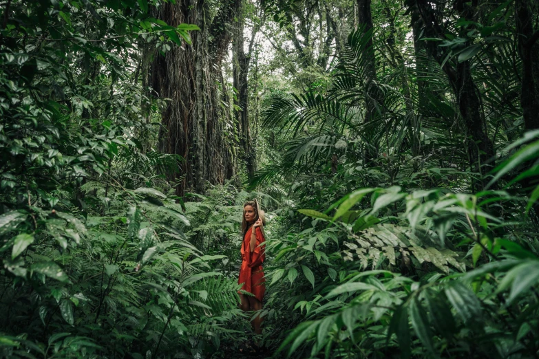 a woman standing in the middle of a forest, by Daniel Lieske, sumatraism, avatar image