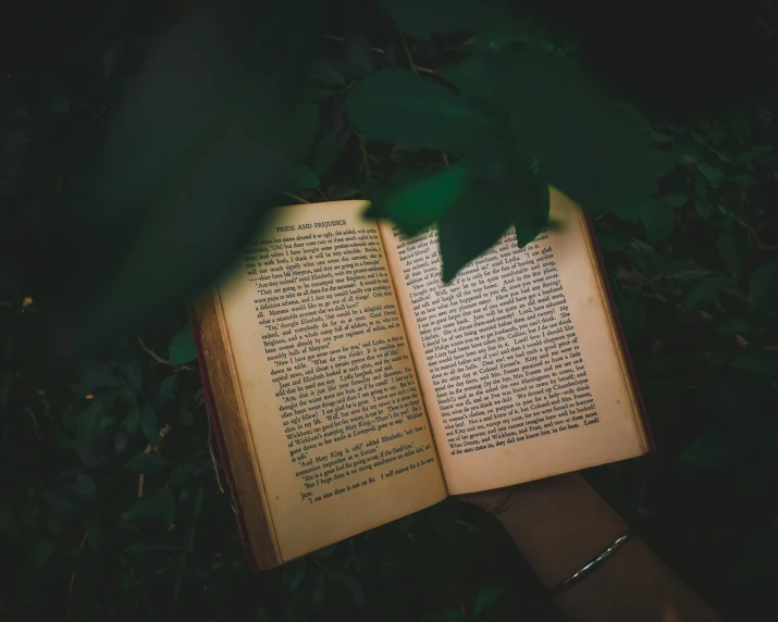 an open book sitting on top of a lush green field, by Daniel Lieske, pexels contest winner, cyberpunk in foliage, dimly lit, thumbnail, manual