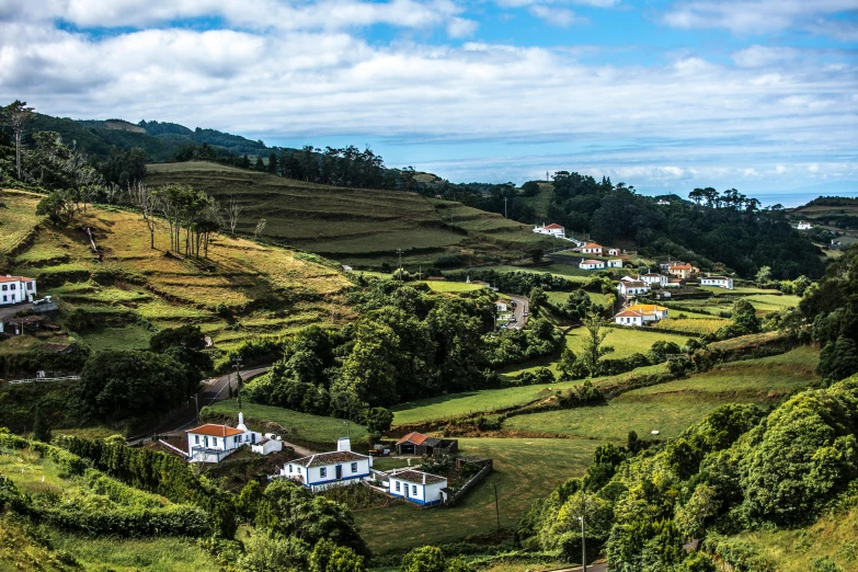 a group of houses sitting on top of a lush green hillside, by Daniel Lieske, pexels contest winner, azores, avatar image