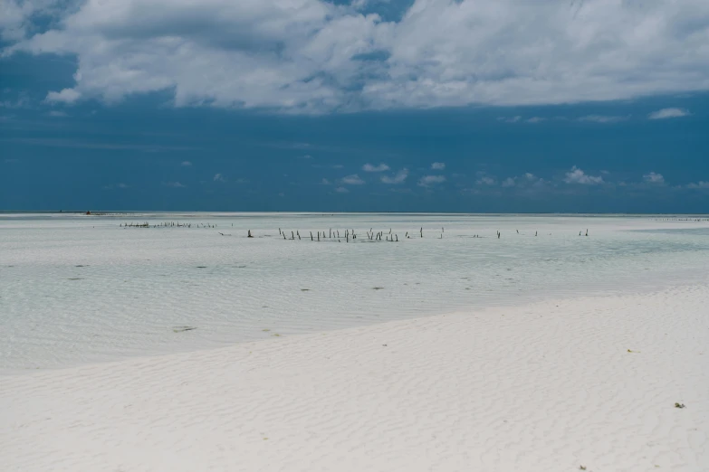 a group of people standing on top of a sandy beach, the ocean