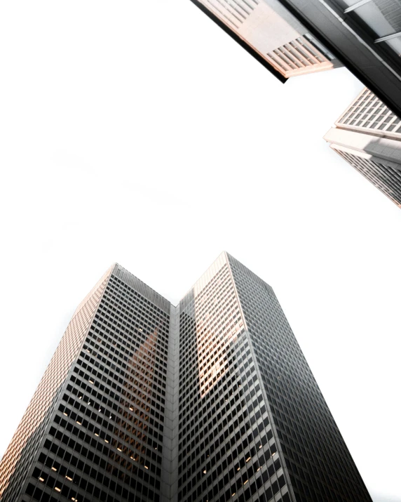 a couple of tall buildings sitting next to each other, pexels contest winner, hypermodernism, black on white background, three point perspective, flesh buildings, view from ground