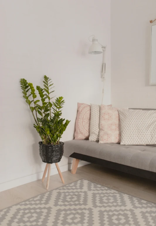 a living room with a couch and a potted plant, vanara, relaxing environment, canopee