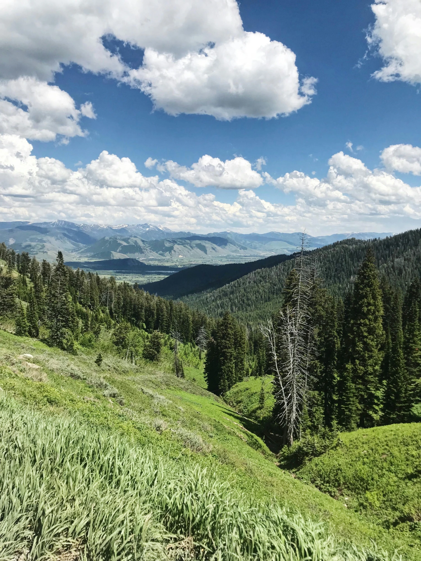 a view of the mountains from the top of a hill, big sky, 5k, lush environment, instagram post