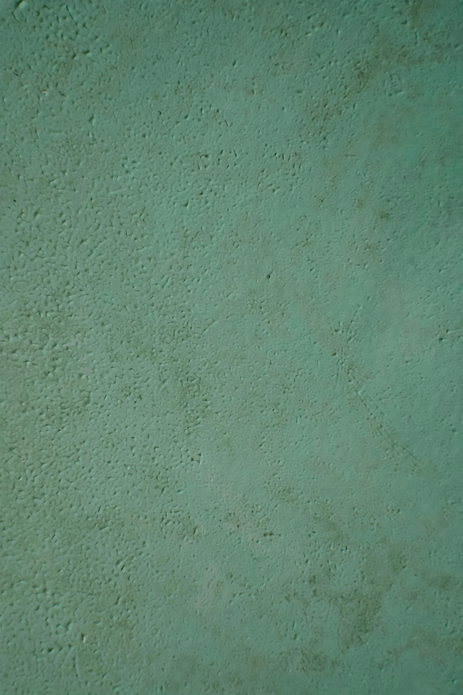 a white toilet sitting in a bathroom next to a green wall, an album cover, by Raoul De Keyser, unsplash, detailed texture, turquoise, concrete, skin texture natural