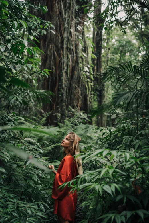 a woman in a red dress standing in a forest, sumatraism, walking through a lush jungle, lush rainforest, a green