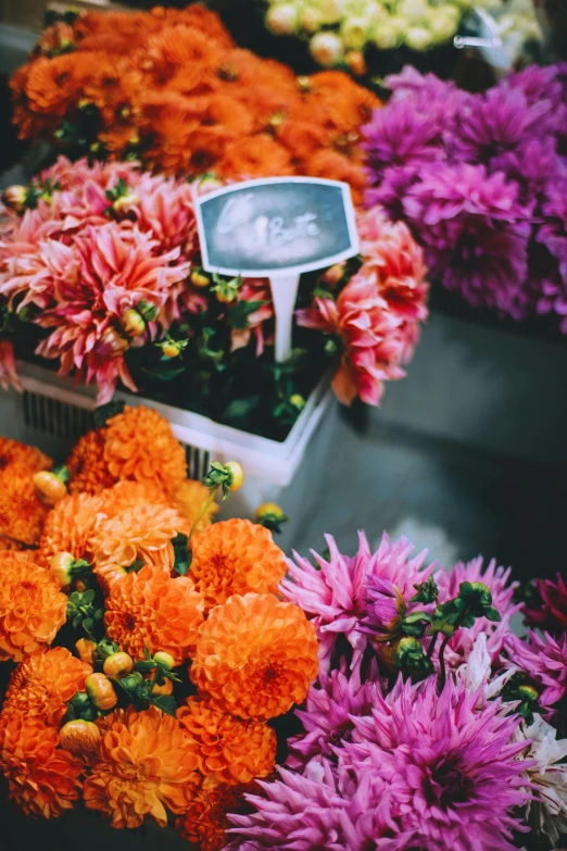 a display case filled with lots of colorful flowers, a polaroid photo, unsplash, chrysanthemums, market, low fi, pink and orange