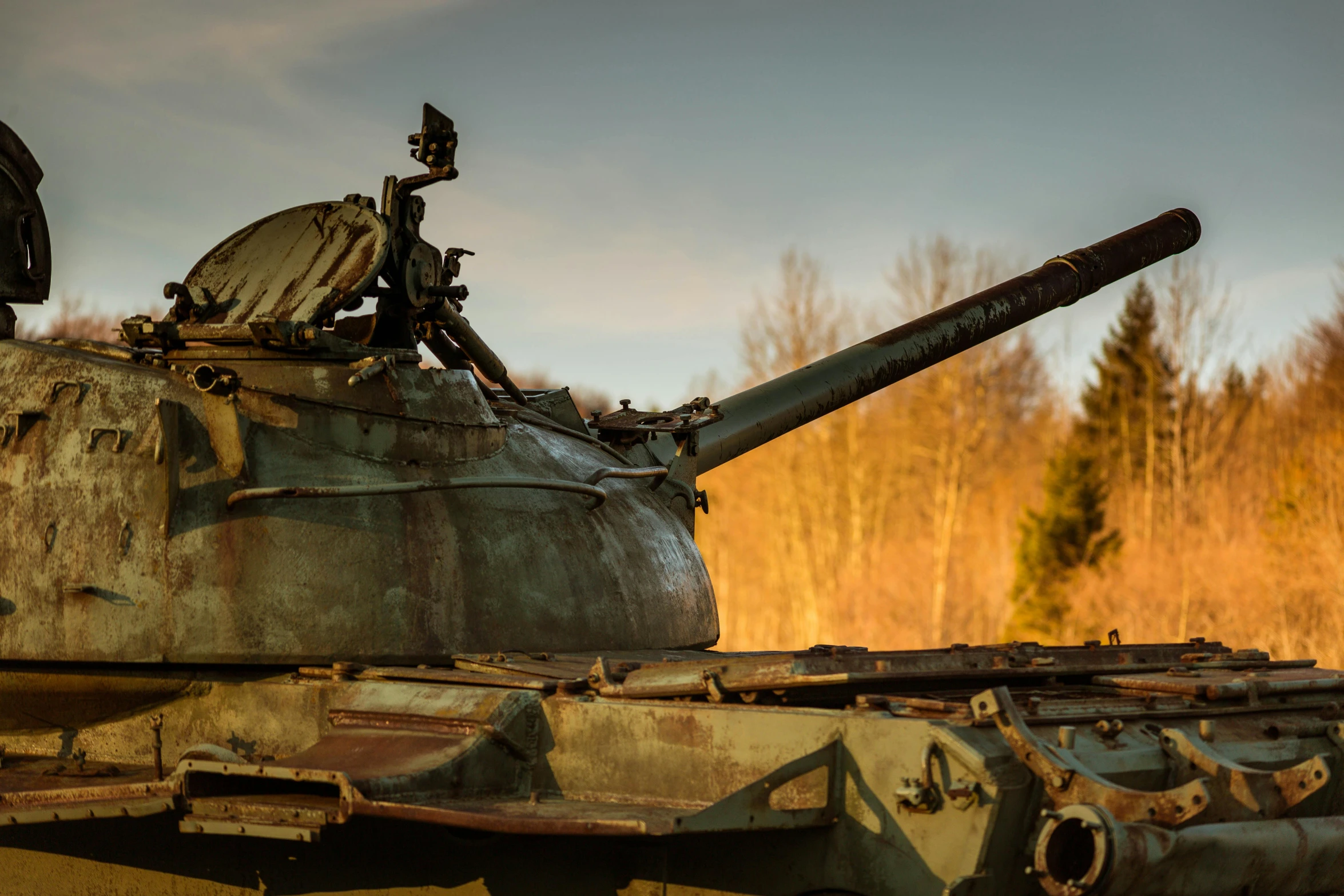 an old tank sitting in the middle of a field, a portrait, pexels contest winner, auto-destructive art, close - up profile, highly detailed in 4k, slide show, front lit