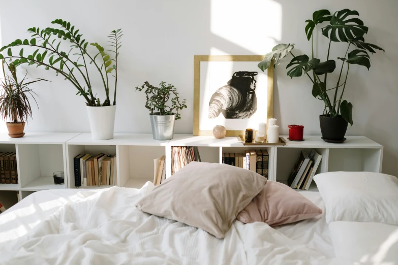 a white bed sitting in a bedroom next to a window, by Julia Pishtar, trending on unsplash, visual art, plants everywhere, short bookshelf, laying back on a pillow, pink white and green