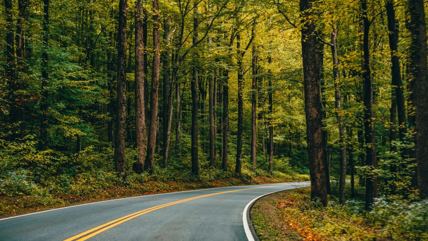 a winding road in the middle of a forest, by Carey Morris, pexels contest winner, arts and crafts movement, 2 5 6 x 2 5 6 pixels, maple trees along street, sustainable materials, appalachian mountains