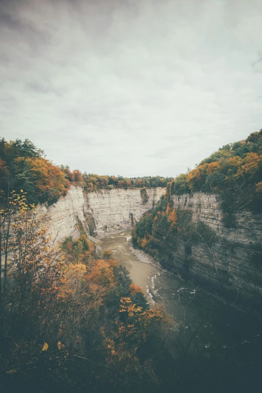 a river running through a lush green forest, a polaroid photo, pexels contest winner, hudson river school, chalk cliffs above, autum, huge chasm, a colorful