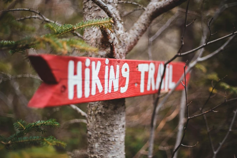 a red sign hanging from the side of a tree, pexels, hiking trail, avatar image, hgtv, half image