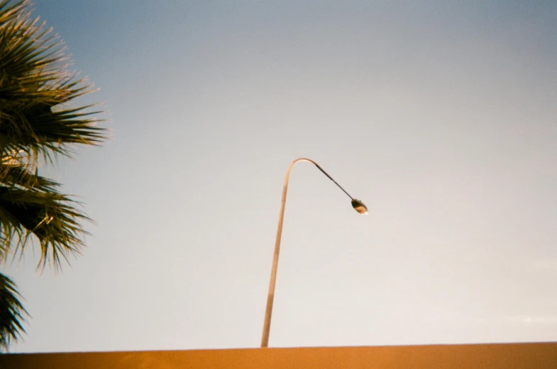 a street light with a palm tree in the background, unsplash, postminimalism, desert photography, archival pigment print, ignant, sweltering