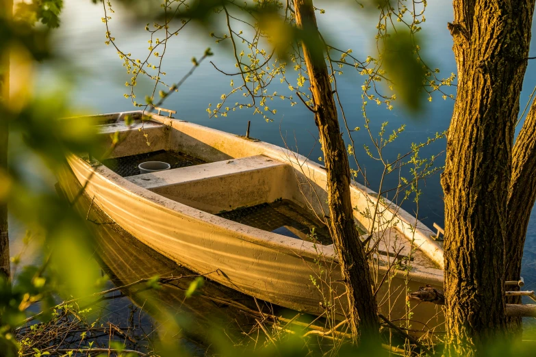 a boat sitting on top of a lake next to a tree, pexels contest winner, romanticism, summer light, dingy, close - up photo, archimedes