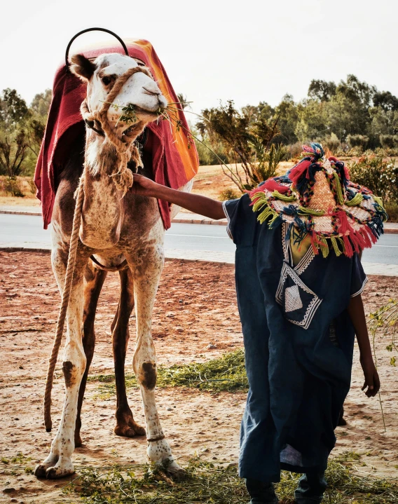 a man that is standing next to a camel, inspired by Steve McCurry, trending on unsplash, renaissance, diverse costumes, carrying a bottle of perfume, pete davidson walking a kangaroo, photo for vogue