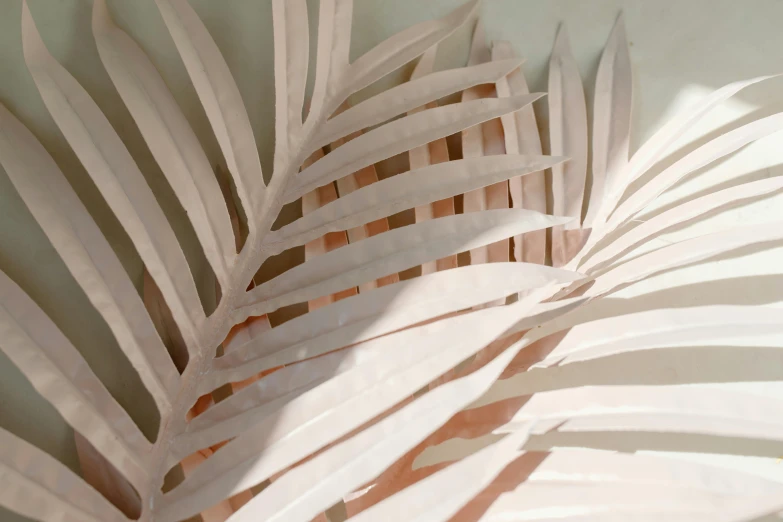 a close up of a palm leaf on a table, by Helen Stevenson, new sculpture, pastel pink concrete, organic ceramic white, terracotta, volumetric light and shadow