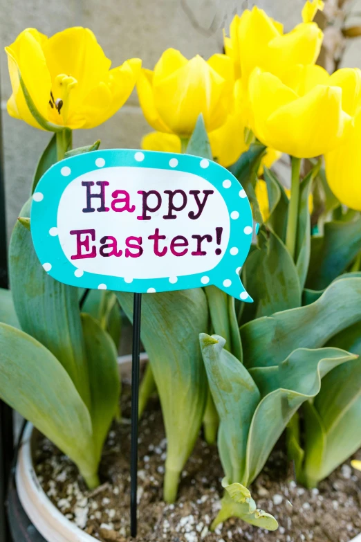 a potted plant with yellow tulips and a happy easter sign, up close, polka dot, full product shot, outdoor