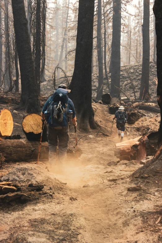 a group of people walking through a forest, smoke debris, giant sequoia, slide show, sports photo