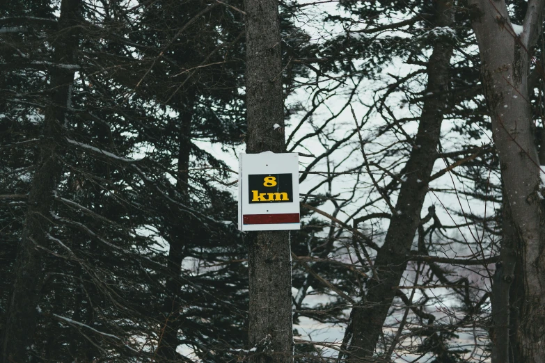 a sign attached to a tree in the snow, a poster, by Brian Snøddy, unsplash, land art, 8k octan advertising photo, 🦩🪐🐞👩🏻🦳, minn, sovietwave aesthetic
