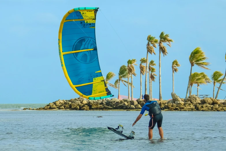 a man windsurfing in the ocean with palm trees in the background, pexels contest winner, figuration libre, kites, avatar image, back - shot, chartreuse and orange and cyan