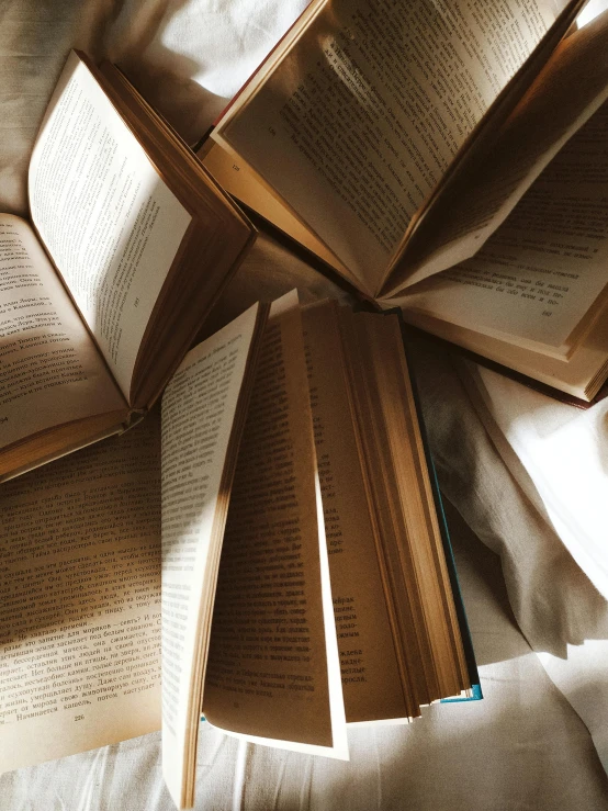 a pile of open books sitting on top of a bed, a screenshot, by Alice Mason, trending on unsplash, wearing brown robes, soft lighting from above, an overgrown library, white and gold robes