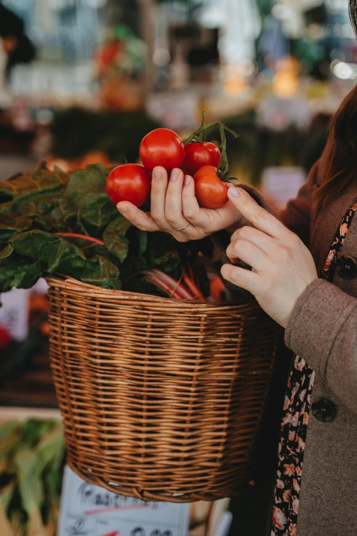 a woman holding a basket full of tomatoes, by Jessie Algie, pexels, renaissance, market setting, where a large, 🚿🗝📝, profile image