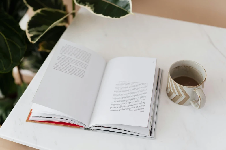 an open book sitting on top of a table next to a cup of coffee, grey, white marble interior photograph, non fiction, next to a plant