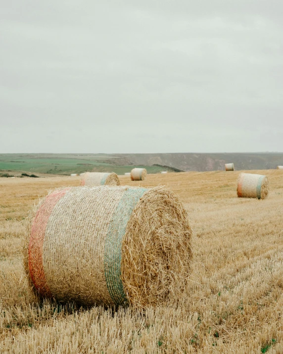 hay bales in a field on a cloudy day, an album cover, pexels contest winner, muted rainbow tubing, round-cropped, profile image, minimalist photo