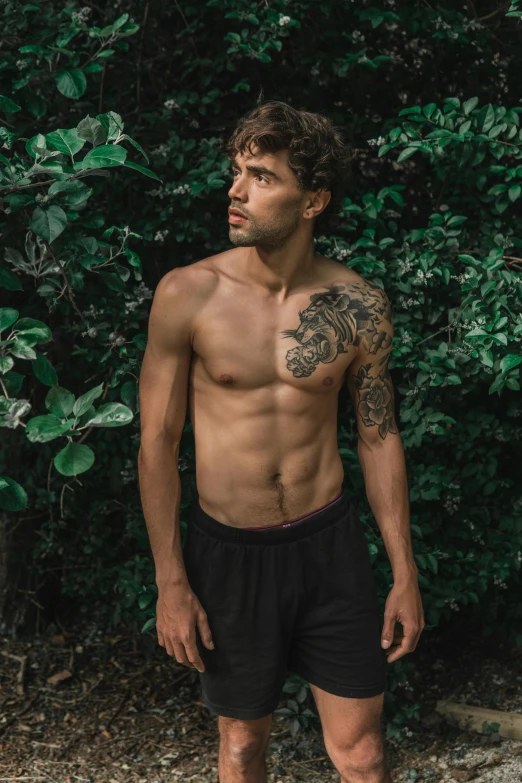 a shirtless man standing in front of a bush, a tattoo, by Adam Dario Keel, wearing fitness gear, cottagecore!! fitness body, profile image, young spanish man