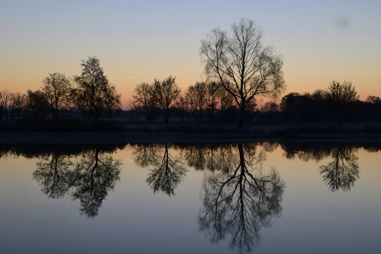 a body of water that has some trees in it, a picture, by Jan Tengnagel, pexels contest winner, evening time, mirrored, esher, spring early morning